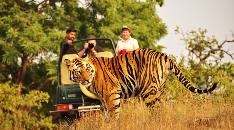 Explore Uttrakhand - PA803